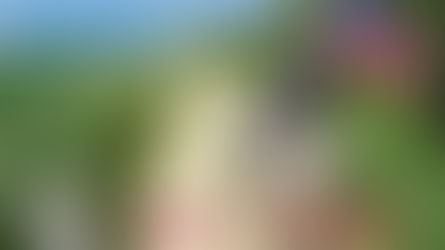 Psi a koně můžou být kamarádi 🐎🐕🇺🇸