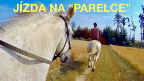 Cvalová vyjížďka na koni bez udidla jen na "parelce" 😯 VLOG