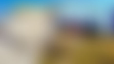 Cvalová vyjížďka na koni bez udidla jen na "parelce" 😯 VLOG