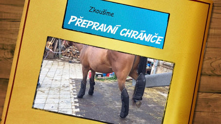 Zkoušíme nové přepravní chrániče na koně 🐎 Příprava na závody