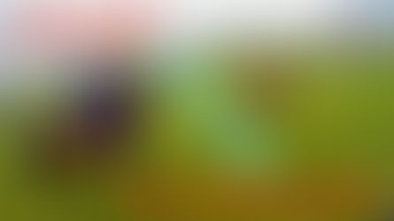 Cvalem kopcem na Hradisko 🏰 VLOG z výletu na koních 🐎