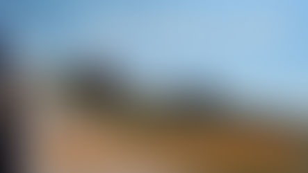 Adrenalin na vytrvalostních závodech 🏇 Výzva pro fanoušky ⁉️ VLOG