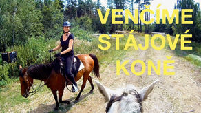 Venčíme stájové koně 🏇 Petr poprvé točil ve cvalu na kameru 🎥