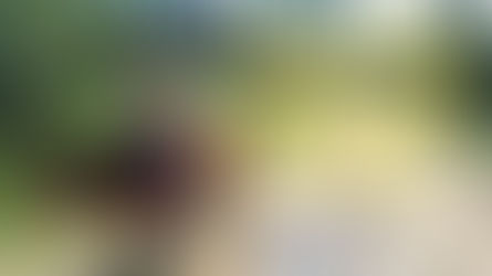 Venčíme stájové koně 🏇 Petr poprvé točil ve cvalu na kameru 🎥