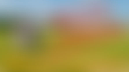 Naše první závody ve VYTRVALOSTI - 40 km 🏇 Budislavice 2019