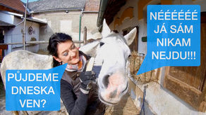 Co dělat když váš kůň nechce odejít od koní? 🏇 Zkušenost Jaru s Mangem⎪VLOG