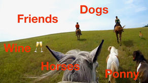 Jeli jsme "na kafe"☕️ a místo toho bylo víno🥂 a vyjížďka na koních bez udidla😀 VLOG