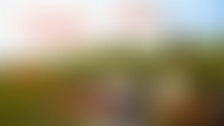 Jeli jsme "na kafe"☕️ a místo toho bylo víno🥂 a vyjížďka na koních bez udidla😀 VLOG