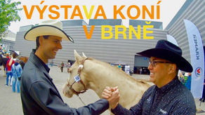 Byli jsme na výstavě koní 🐎 Brno Animal Tech BVV 2019 ⎪VLOG