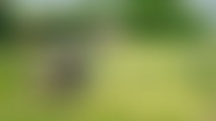 Petr málem "na bedně" 🥂🍾🥔🏅 Vytrvalostní závod Proruby 2019 🐎