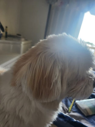 WhatsApp Image 2025-08-20 at 10.45.46 PM.jpeg