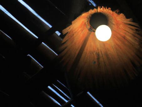 To Light or Not to Light: Illuminating the Debate on Coop Lighting for Ducks and Chickens