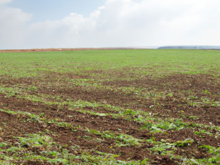 Cultivating Sustainability: Embracing Eco-Friendly Farming Practices