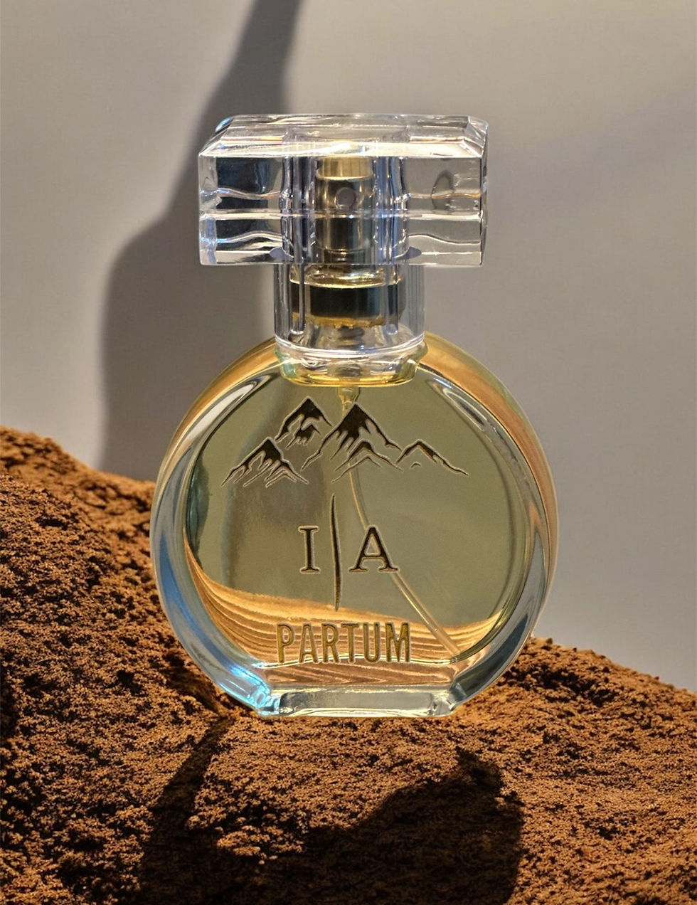 Miniatura: 33•Inspiração - La Nuit Tresor