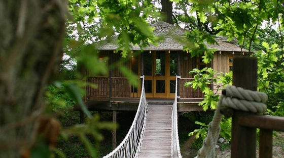 EXTRAORDINARY TREE HOUSES IN KERALA