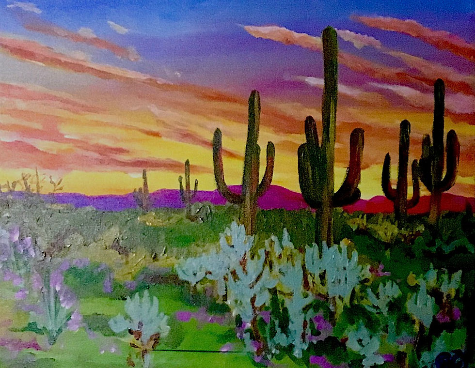 cactus sunset