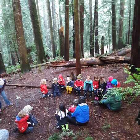 Redwood Community Park