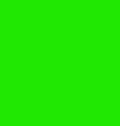 M _ H STUDIO green