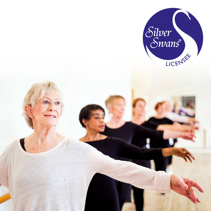 Silver Swans Post Image 7.JPG