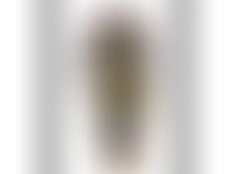 Learning to Recognize the Mythological Characters of Kachina Dolls