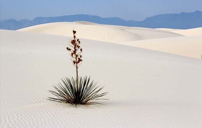 WhiteSands.Corazon.jpg