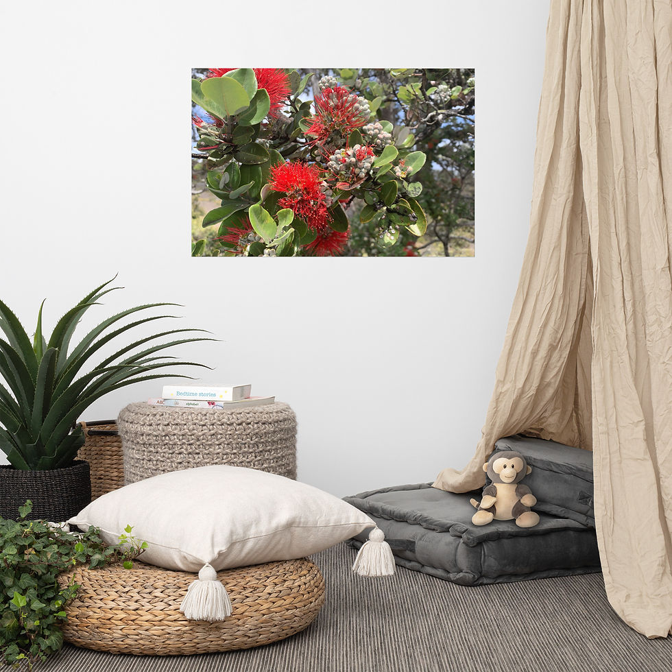 Thumbnail: Lehua of the Ohia Trees Hawaii Island
