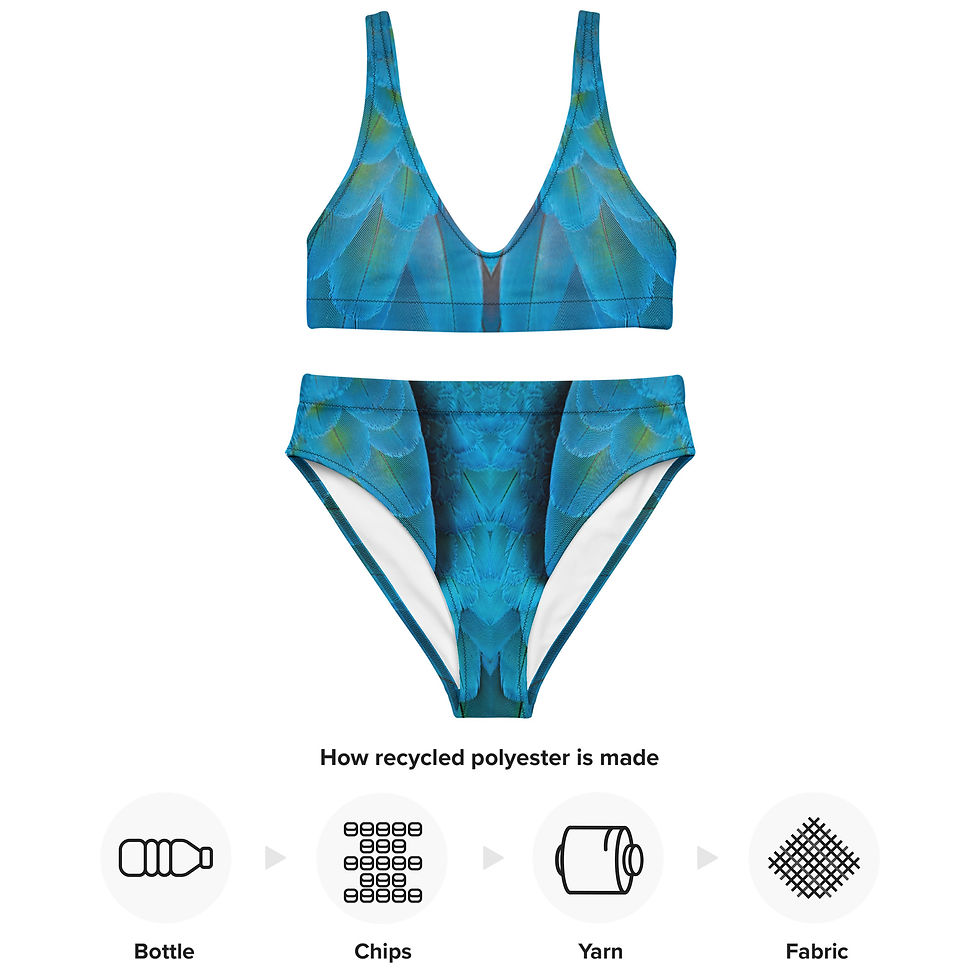 Thumbnail: Eco Sport Bikini - Feathers Green