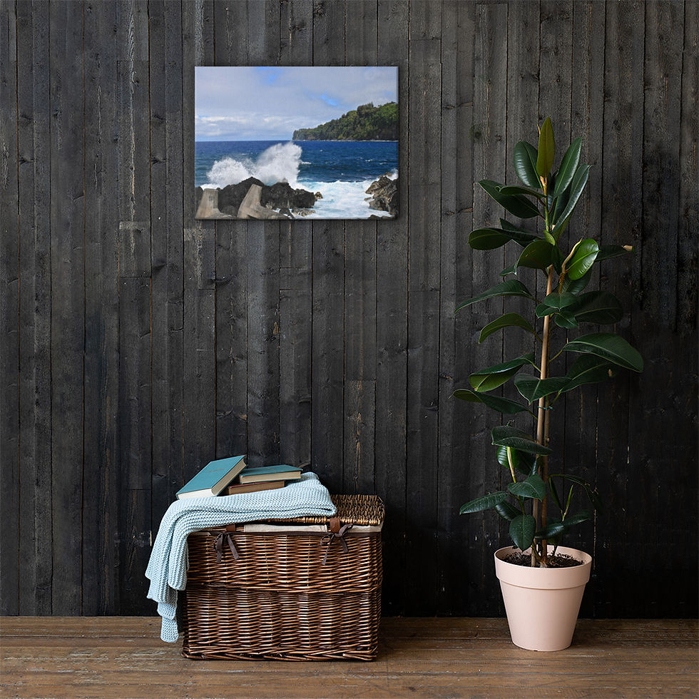Thumbnail: ‎⁨Laupahoehoe Point splash