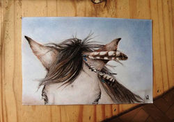 10552383_1443445319273443_5082334458139845941_n