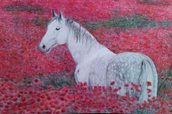 10410279_1443445092606799_1339961017079352759_n