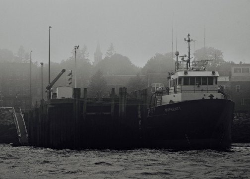 gallery3 - _foggy return_.jpeg