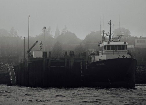 gallery3 - _foggy return_.jpeg