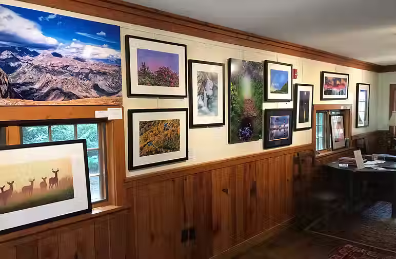 A wall of arts.