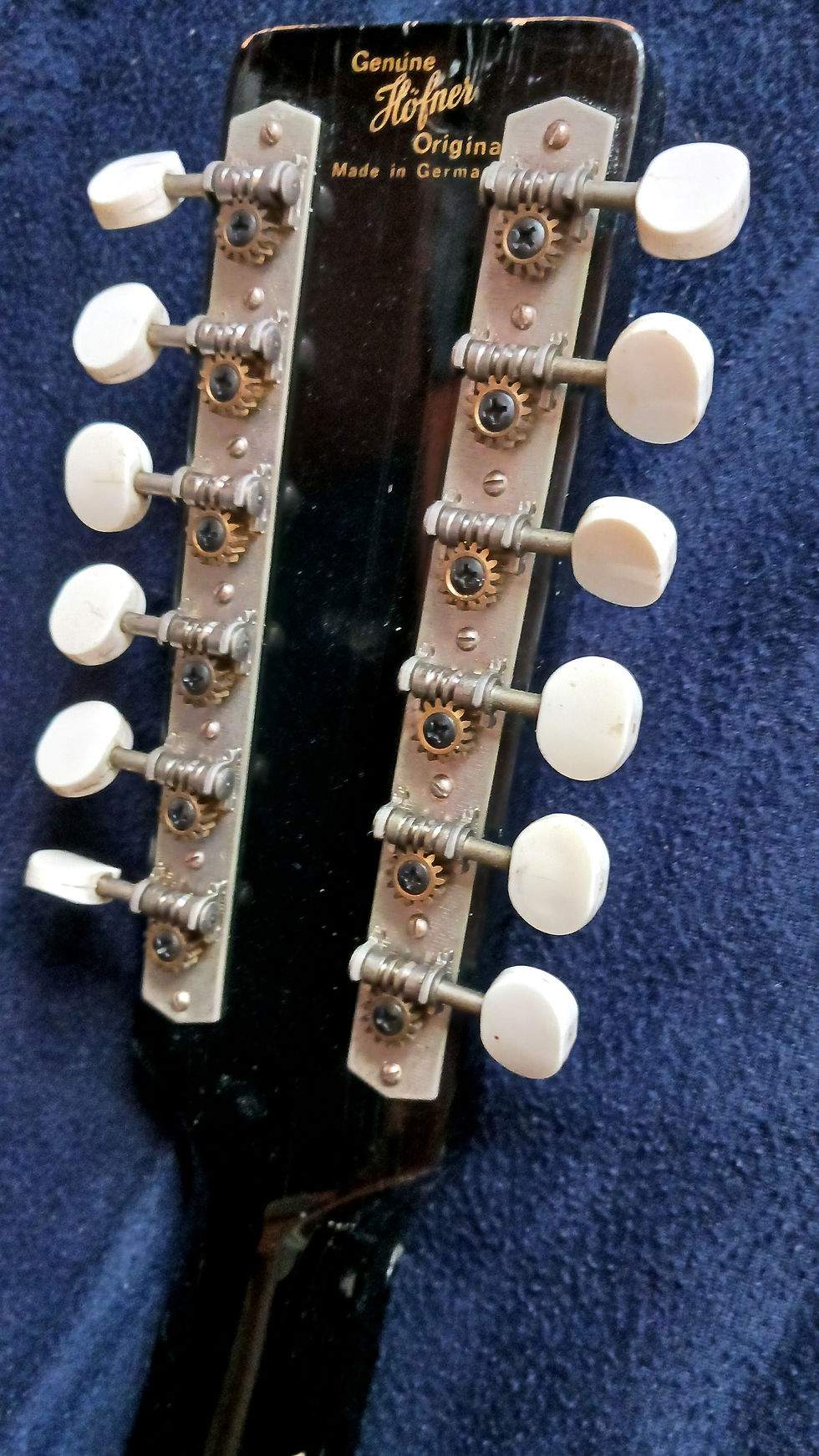 Miniatura: Hofner 492  12 cuerdas (1972)