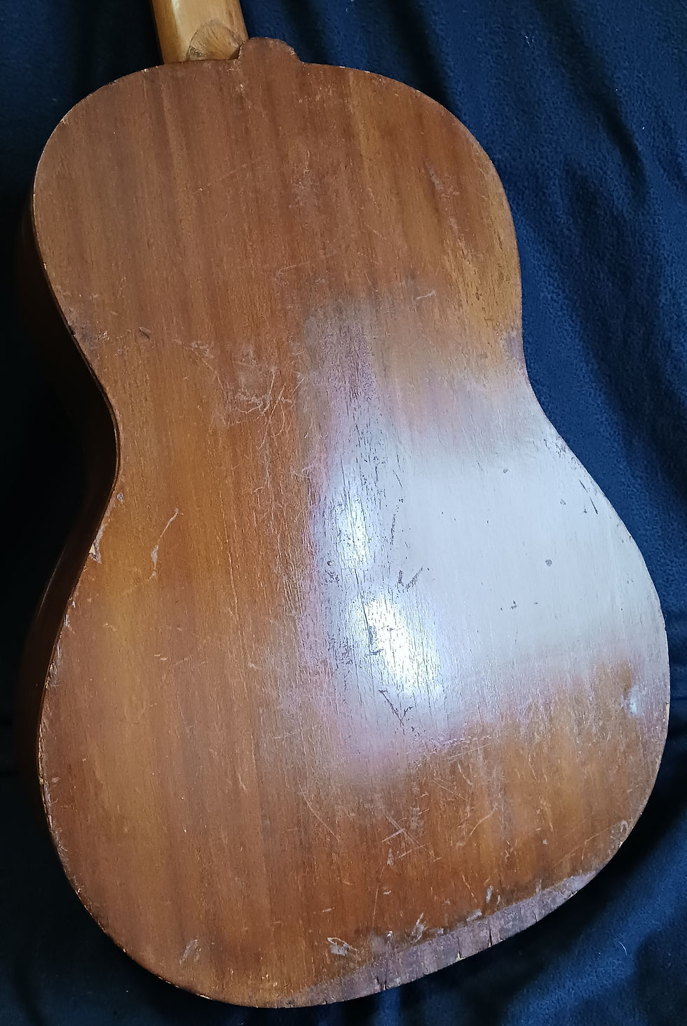 Miniatura: Guitarra Melody ( Catania) 1950s