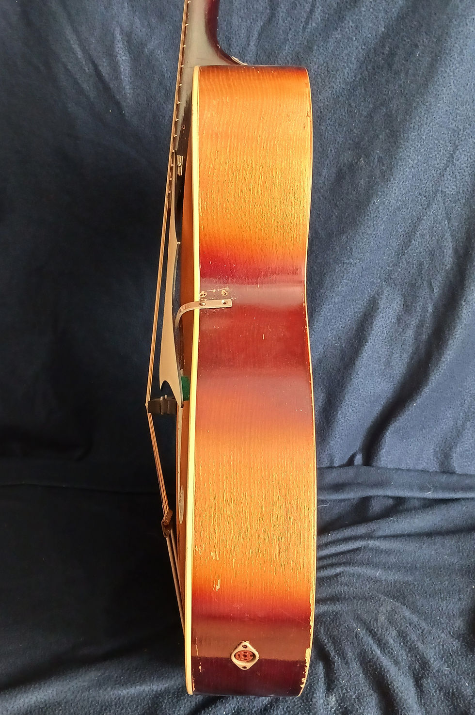Miniature : Framus Atlantis 5/52   (1956)