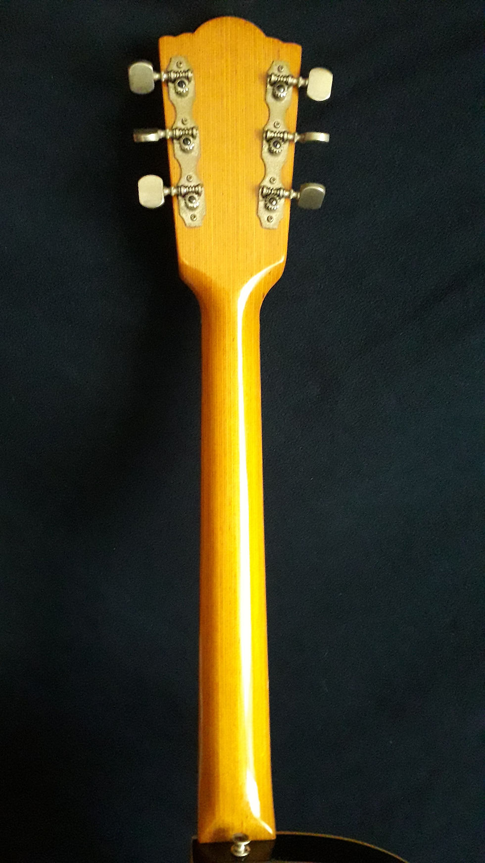 Thumbnail: Framus 5/110 "Atlantic"  (1969)