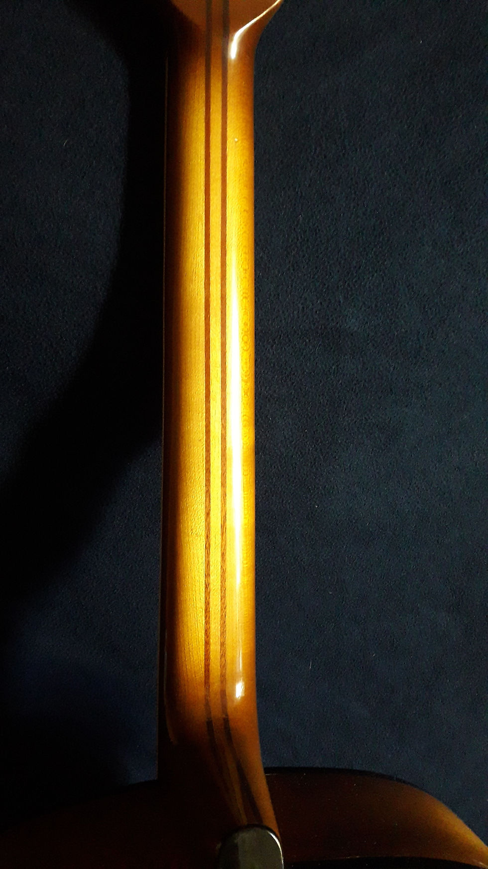 Thumbnail: Guitarra "Rima Wolfrum" (1960)