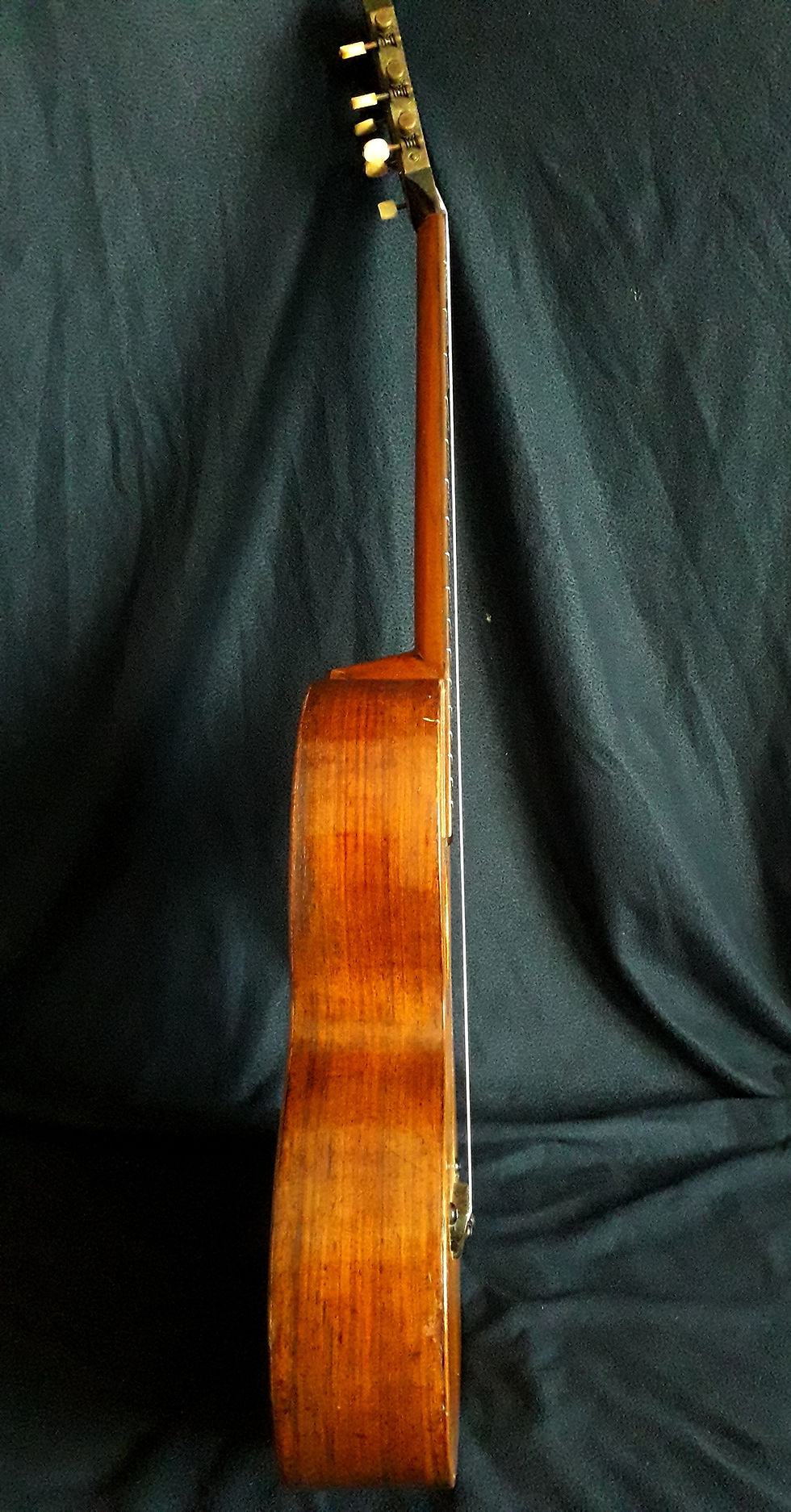 Miniatura: Guitarra de salón Palosanto Alemania (1890)