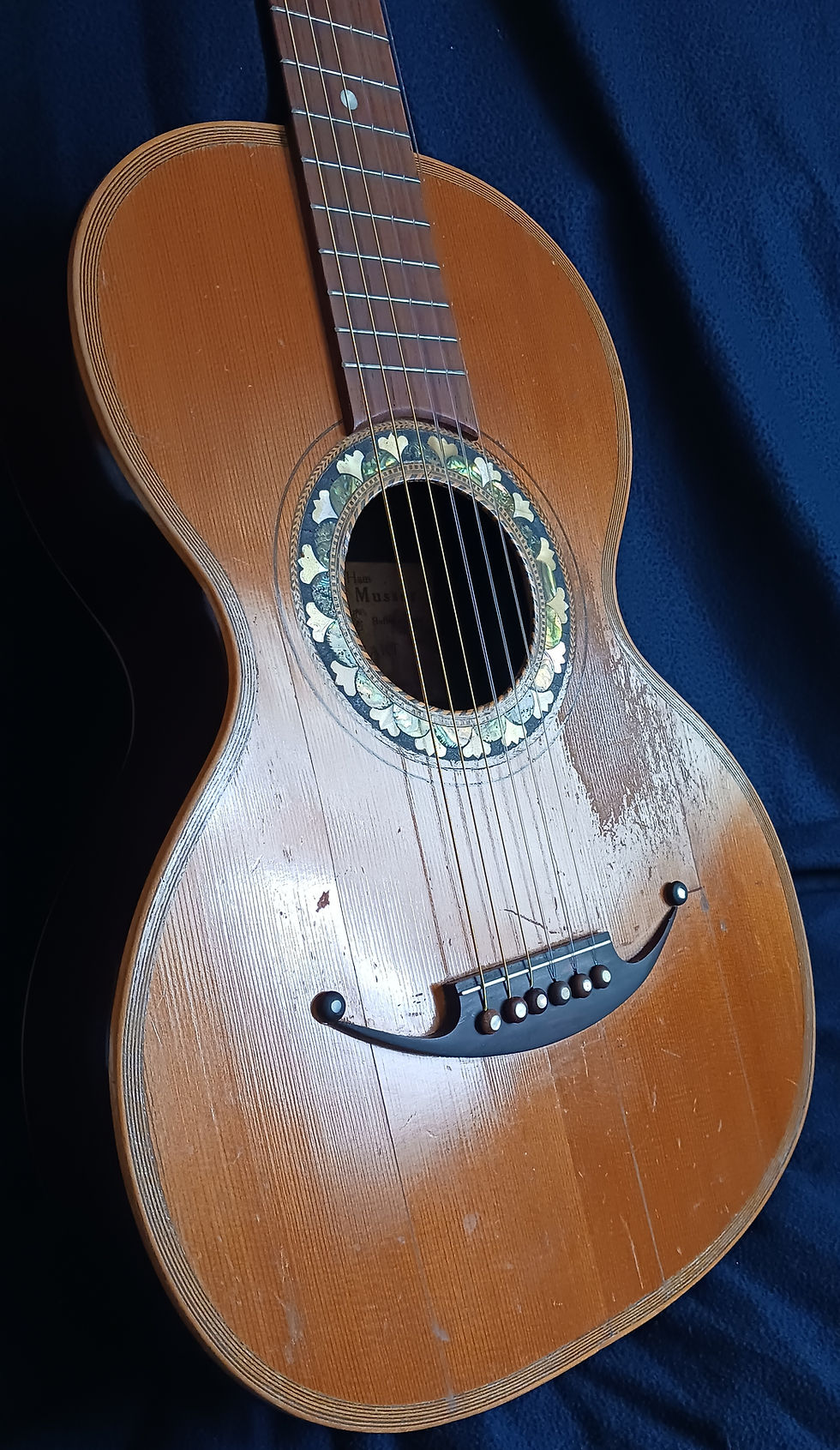 Miniature : Guitarra de salón "Kaser & Musser" Palosanto (1880-90)