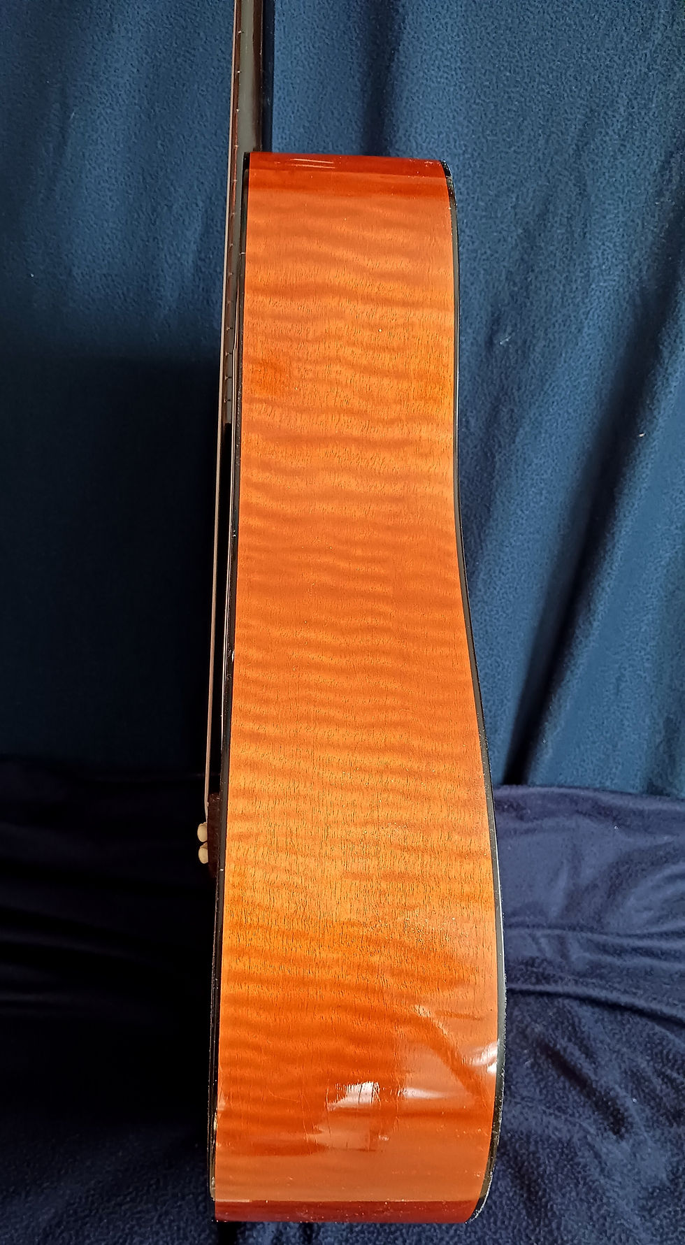 Miniatura: Hofner 492  12 cuerdas (1972)