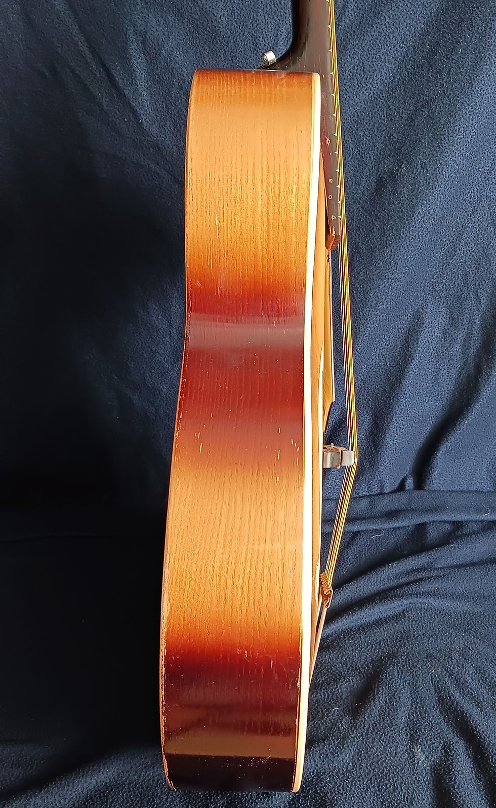 Miniatura: Framus Atlantis 5/52   (1956)