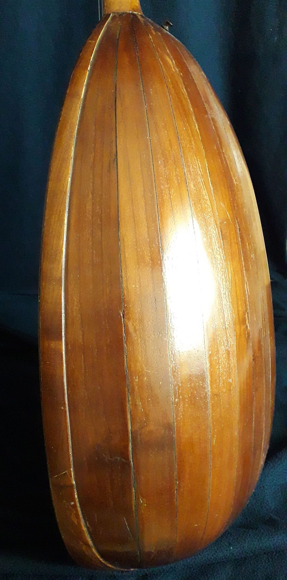 Miniature : Müller Contra-laud (1920) cuello de cisne