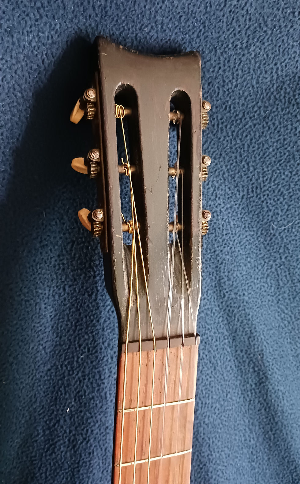 Miniature : Guitarra de salón "Kaser & Musser" Palosanto (1880-90)