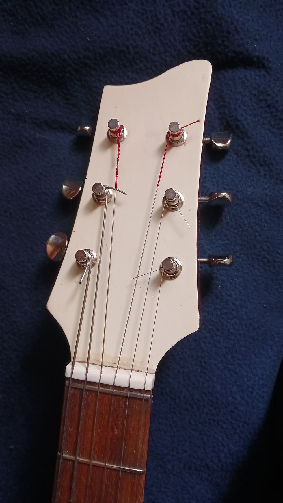 Thumbnail: Framus  Tango 5/57  (1954)