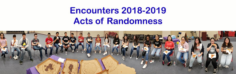 Project Gallery | Mr-Skipper