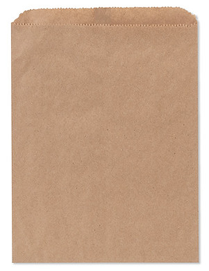 paper bag book.jpg