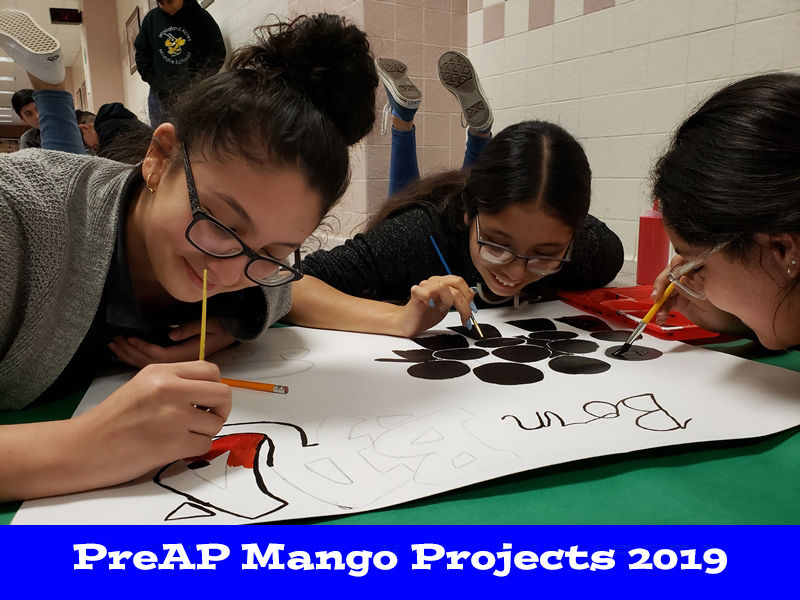 Project Gallery | Mr-Skipper