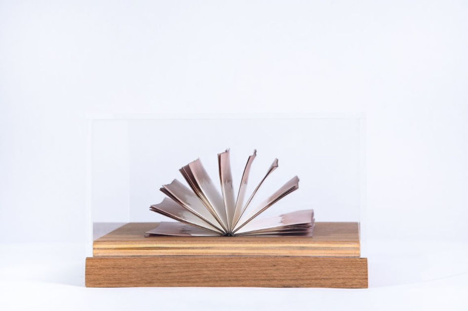 Livro dos Afetos