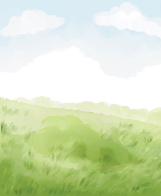 Grass_Front.jpg